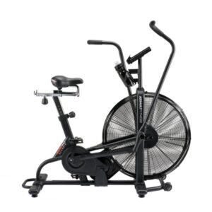 Assault AirBike Classic