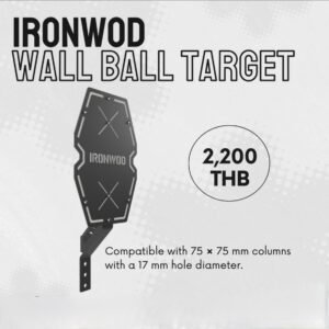 IRONWOD Iron Man Medicine Ball Target